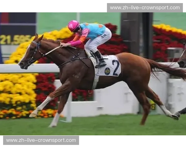 开云体育赛事提醒：让每一场热血赛事都不再错过